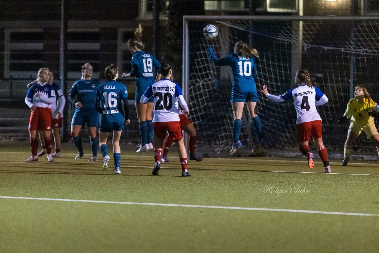 Bild 448 - F SC Alstertal-Langenhorn - Hamburger SV 3 : Ergebnis: 2:2